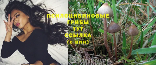 меф Абинск
