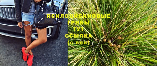 гашик Алзамай