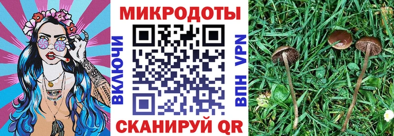 Псилоцибиновые грибы мухоморы Судогда