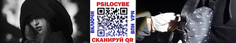 Галлюциногенные грибы MAGIC MUSHROOMS  где купить наркотик  mega как зайти  Судогда 