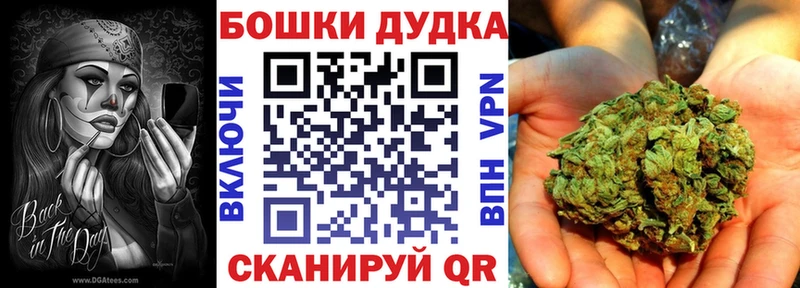 где найти наркотики  Судогда  Шишки марихуана LSD WEED 